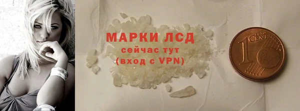 a pvp Тайга